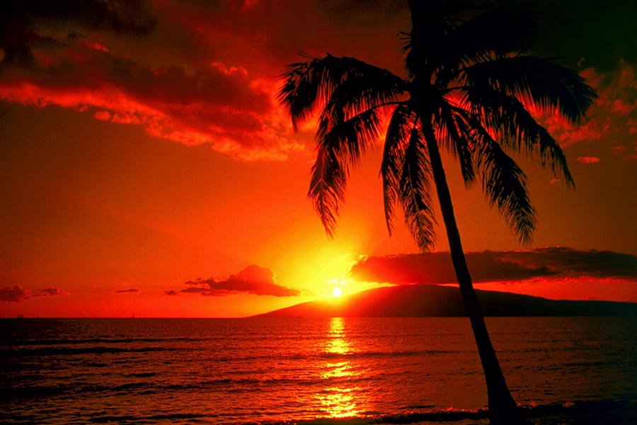 fit2-sunset1